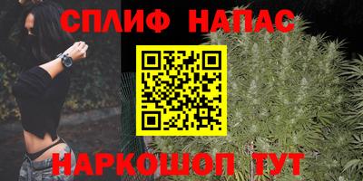 spice Дубна